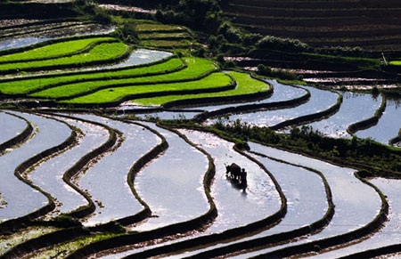 Ngắm Sapa trong vụ cấy mới - 8 Ngắm Sapa trong vụ cấy mới - 8