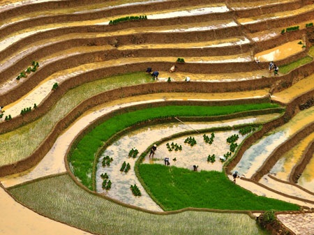 Ngắm Sapa trong vụ cấy mới - 9 Ngắm Sapa trong vụ cấy mới - 9