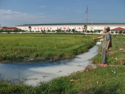 Doanh nghiệp xả thải bừa bãi, cả xã khốn đốn - 1