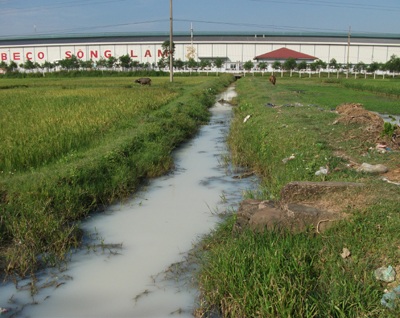 Doanh nghiệp xả thải bừa bãi, cả xã khốn đốn - 3