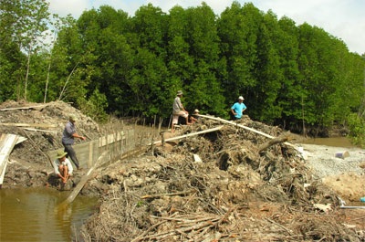 Hoãn phiên tòa xét xử cán bộ phá rừng phòng hộ nuôi tôm - 1 Hoãn phiên tòa xét xử cán bộ phá rừng phòng hộ nuôi tôm - 1