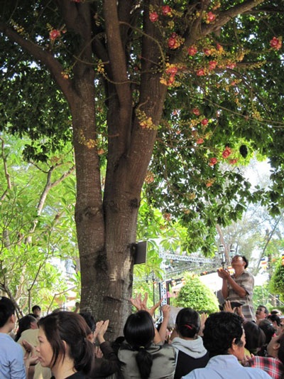 Phật tử múc nước tắm Phật trong ngày Đản sanh - 13 Phật tử múc nước tắm Phật trong ngày Đản sanh - 13