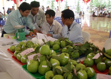 Đặc sắc Lễ hội trái cây Nam bộ 2010 - 2 Đặc sắc Lễ hội trái cây Nam bộ 2010 - 2