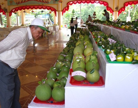Đặc sắc Lễ hội trái cây Nam bộ 2010 - 9 Đặc sắc Lễ hội trái cây Nam bộ 2010 - 9