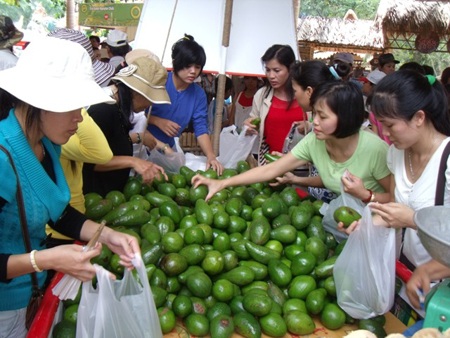 Đặc sắc Lễ hội trái cây Nam bộ 2010 - 3 Đặc sắc Lễ hội trái cây Nam bộ 2010 - 3