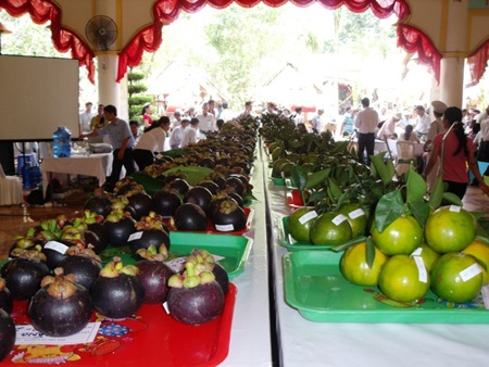 Đặc sắc Lễ hội trái cây Nam bộ 2010 - 4 Đặc sắc Lễ hội trái cây Nam bộ 2010 - 4