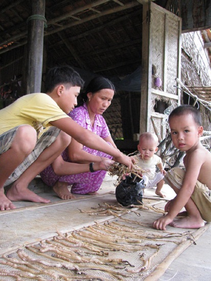 Học trò Gò Hí vào mùa đào trùn mưu sinh - 3