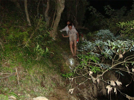 “Săn” gỗ lậu giữa rừng phòng hộ đầu nguồn - 2 “Săn” gỗ lậu giữa rừng phòng hộ đầu nguồn - 2