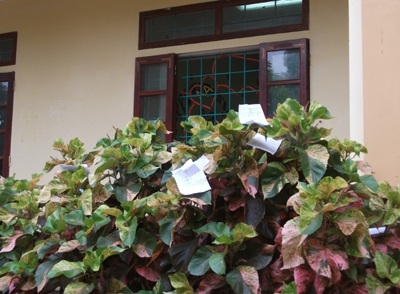 Phao thi trắng sân trường    - 5