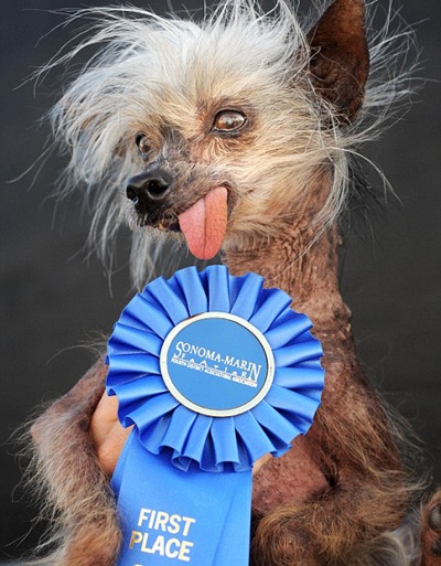 The world's ugliest dog passed away - 1