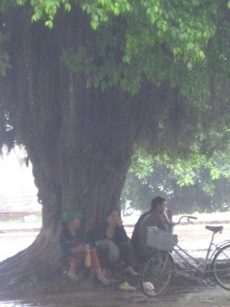 Phụ huynh dầm  mưa chờ con ngoài phòng thi - 3