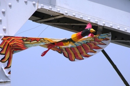 Cầu Trường Tiền “nên thơ” với hơn 1.000 cánh diều - 8