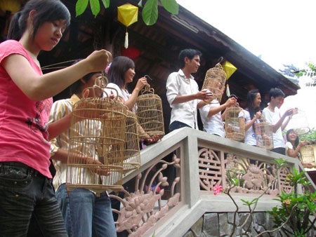 Ngắm sen giấy, đi chợ quê ở Festival Huế 2010 - 1