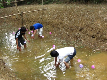 Ngắm sen giấy, đi chợ quê ở Festival Huế 2010 - 2