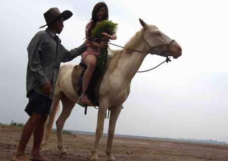 “Váy ngắn” học cưỡi ngựa ở bãi đá sông Hồng - 1 “Váy ngắn” học cưỡi ngựa ở bãi đá sông Hồng - 1