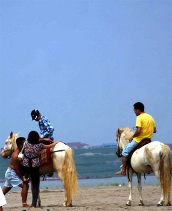 “Váy ngắn” học cưỡi ngựa ở bãi đá sông Hồng - 4 “Váy ngắn” học cưỡi ngựa ở bãi đá sông Hồng - 4