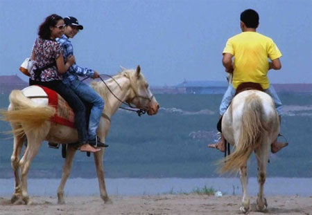 “Váy ngắn” học cưỡi ngựa ở bãi đá sông Hồng - 5 “Váy ngắn” học cưỡi ngựa ở bãi đá sông Hồng - 5