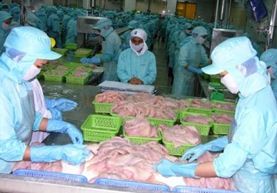 Vasep phản đối thông tin bôi xấu cá tra Việt Nam - 1 Vasep phản đối thông tin bôi xấu cá tra Việt Nam - 1