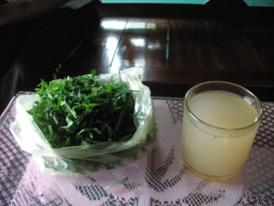 Từ cõi chết trở về thành “thần y” chữa rắn cắn - 3