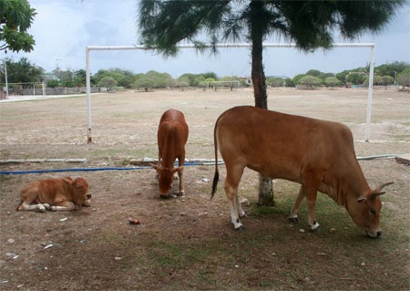 Đến Trường Sa thăm quân dân vùng biển đảo - 17