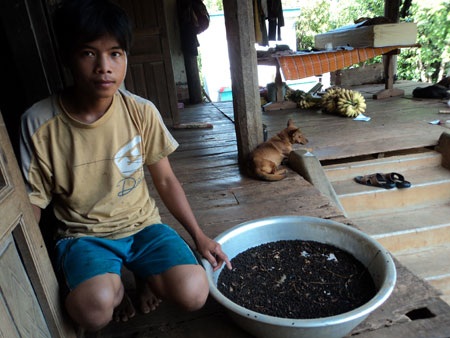 Đến lượt bọ đen “gây rối” người dân - 2