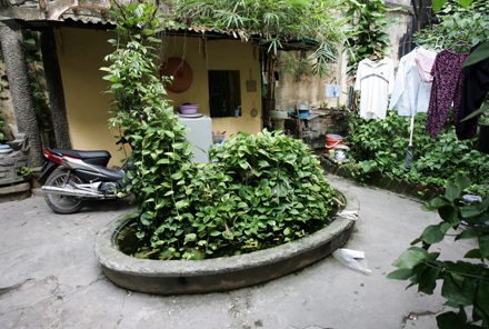 Gìn giữ nhà vườn cổ quý nhất Hà Nội - 3