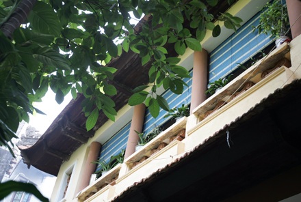 Gìn giữ nhà vườn cổ quý nhất Hà Nội - 4