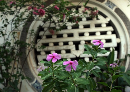 Gìn giữ nhà vườn cổ quý nhất Hà Nội - 16