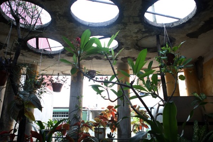 Gìn giữ nhà vườn cổ quý nhất Hà Nội - 17