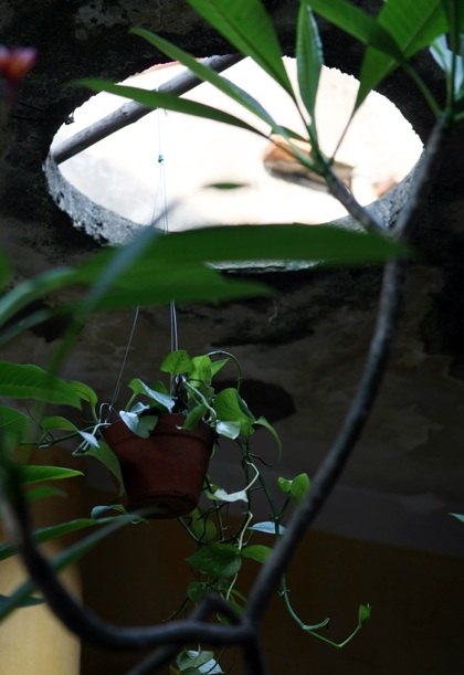 Gìn giữ nhà vườn cổ quý nhất Hà Nội - 18