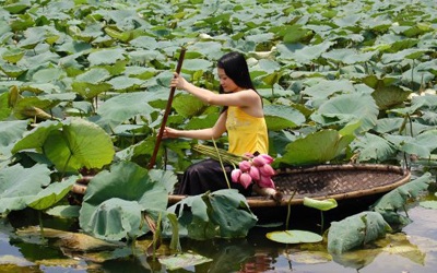 Thiếu nữ Hà Thành e ấp mùa sen - 4 Thiếu nữ Hà Thành e ấp mùa sen - 4
