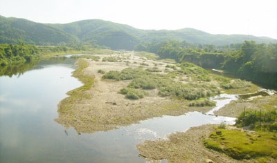 Cá tôm chết hàng loạt trên sông Ngàn Trươi  - 1