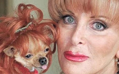 Sốc với bản di chúc để lại 11 triệu USD cho chó cưng - 1 Sốc với bản di chúc để lại 11 triệu USD cho chó cưng - 1