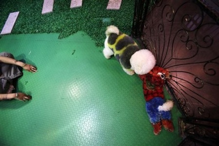 Chiêm ngưỡng "chó biến hình" ở Trung Quốc - 7