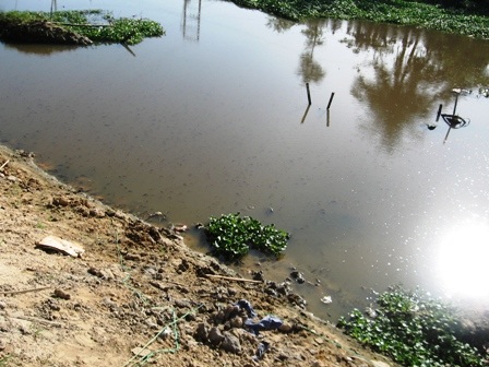 Phát hiện xác một người đàn ông trôi trên sông - 1