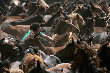 Những hình ảnh ấn tượng tuần qua - 6