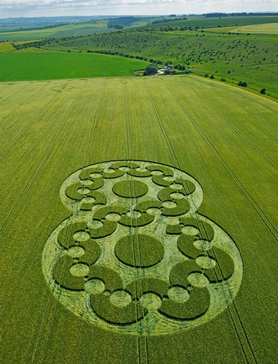 Những hình ảnh ấn tượng tuần qua - 14