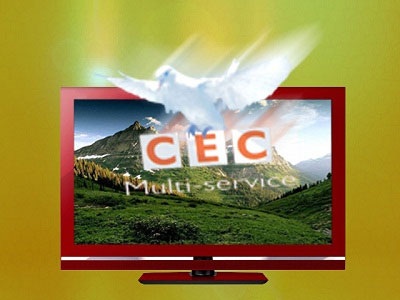 Sôi động World Cup 2010 cùng truyền hình cáp kỹ thuật số CEC - 1 Sôi động World Cup 2010 cùng truyền hình cáp kỹ thuật số CEC - 1