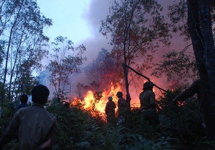 “Giặc lửa” thiêu rụi hơn 50ha rừng - 1