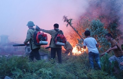 “Giặc lửa” thiêu rụi hơn 50ha rừng - 2