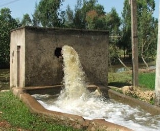 Nắng nóng khắc nghiệt, đau đầu chống hạn - 6