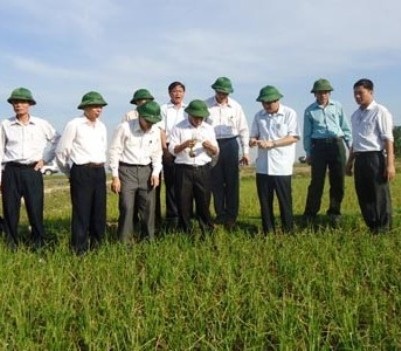 Nắng nóng khắc nghiệt, đau đầu chống hạn - 5