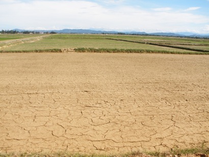 Nắng nóng khắc nghiệt, đau đầu chống hạn - 1