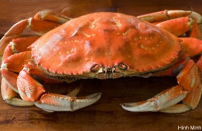 Vị thuốc, bài thuốc từ dư phẩm hải sản - 2 Vị thuốc, bài thuốc từ dư phẩm hải sản - 2