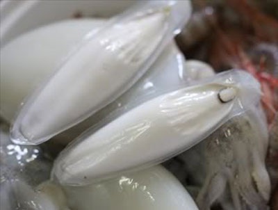 Vị thuốc, bài thuốc từ dư phẩm hải sản - 1 Vị thuốc, bài thuốc từ dư phẩm hải sản - 1