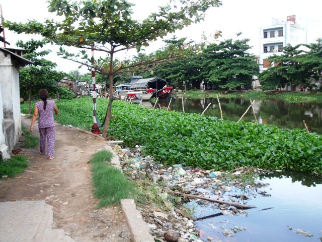 Muỗi bùng phát, sốt xuất huyết vào mùa - 1