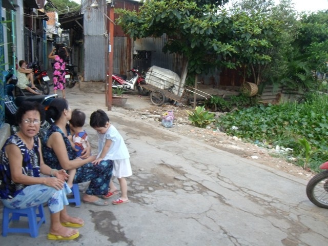 Muỗi bùng phát, sốt xuất huyết vào mùa - 2