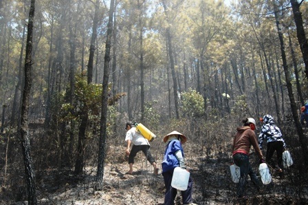 Cận cảnh vụ cháy rừng thông trên núi Ngự Bình  - 1