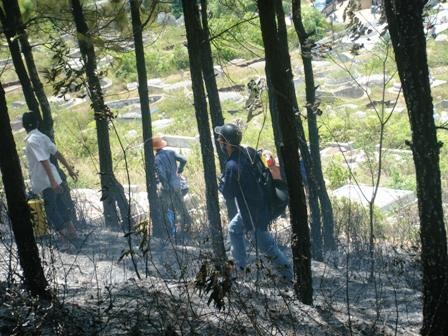 Cận cảnh vụ cháy rừng thông trên núi Ngự Bình  - 4