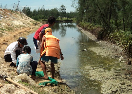 Dân miền biển “đảo điên” với “giặc muỗi” - 2